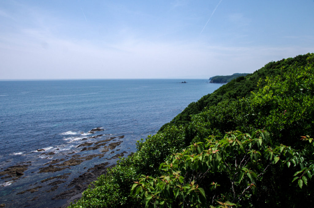 zeewier natuurgebied Ise-Shima, Japan, TerraSana